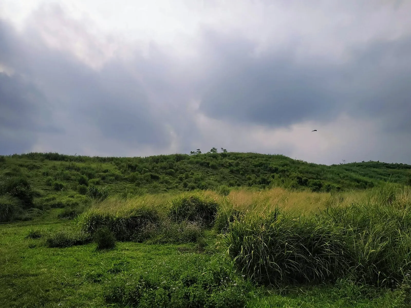 Keinginan Menyapa Alam – Edisi Rindu Alam