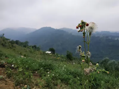 Cinta Tanah Air, Apakah Sulit?